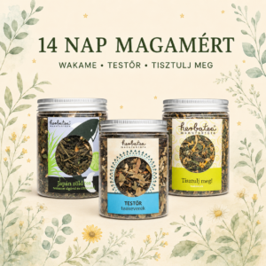 HERBATEA 14 NAP MAGAMÉRT teaválogatás