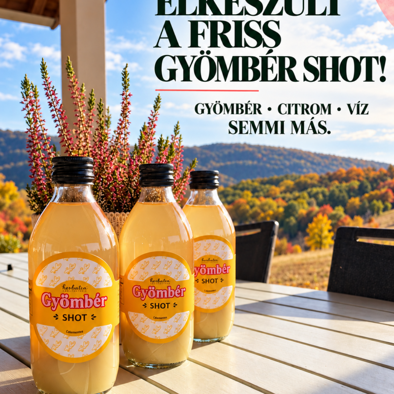 GYÖMBÉR -CITROM Shot 330ml
